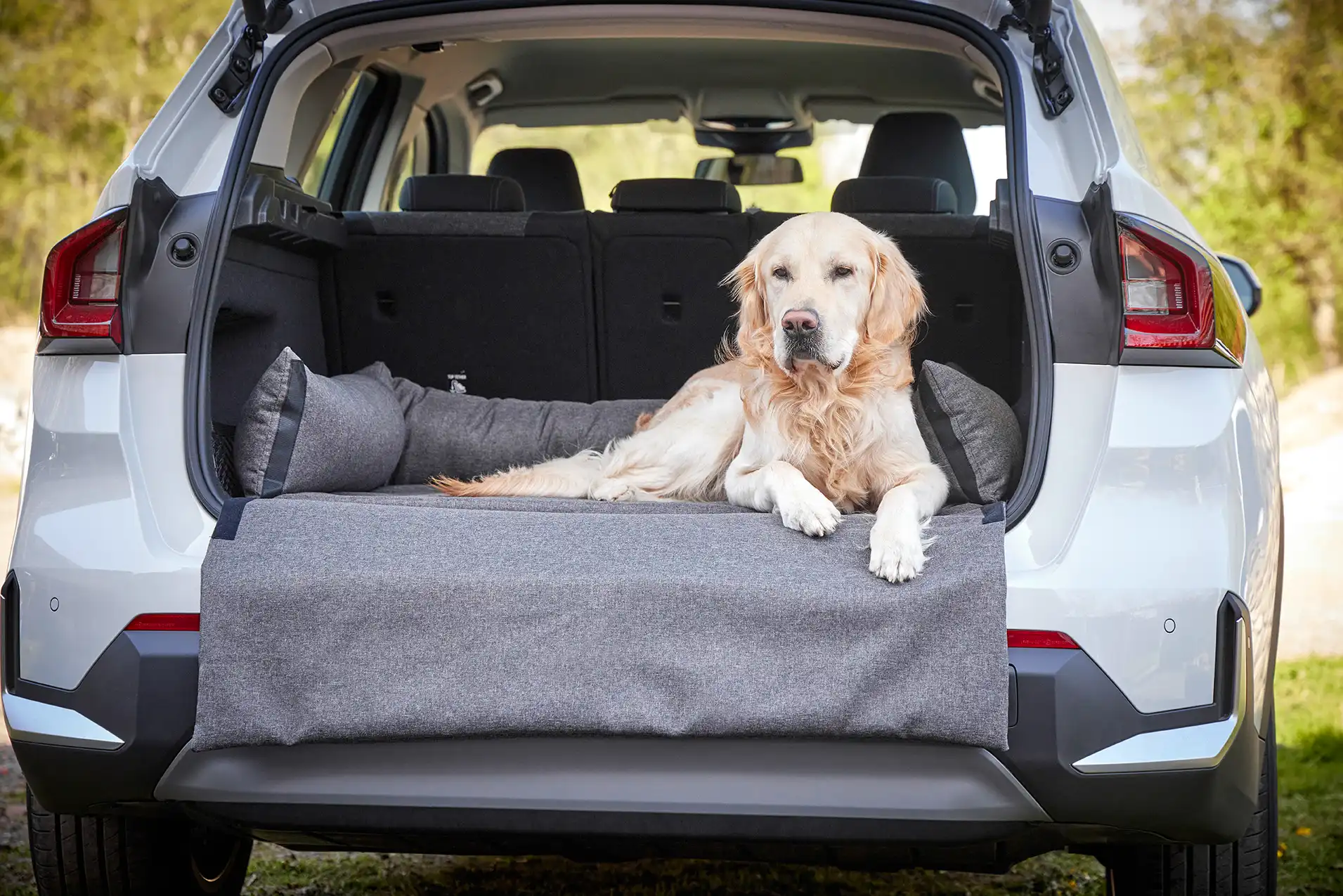 Kofferraumschutz für Hunde - so bleibt dein Auto sauber!