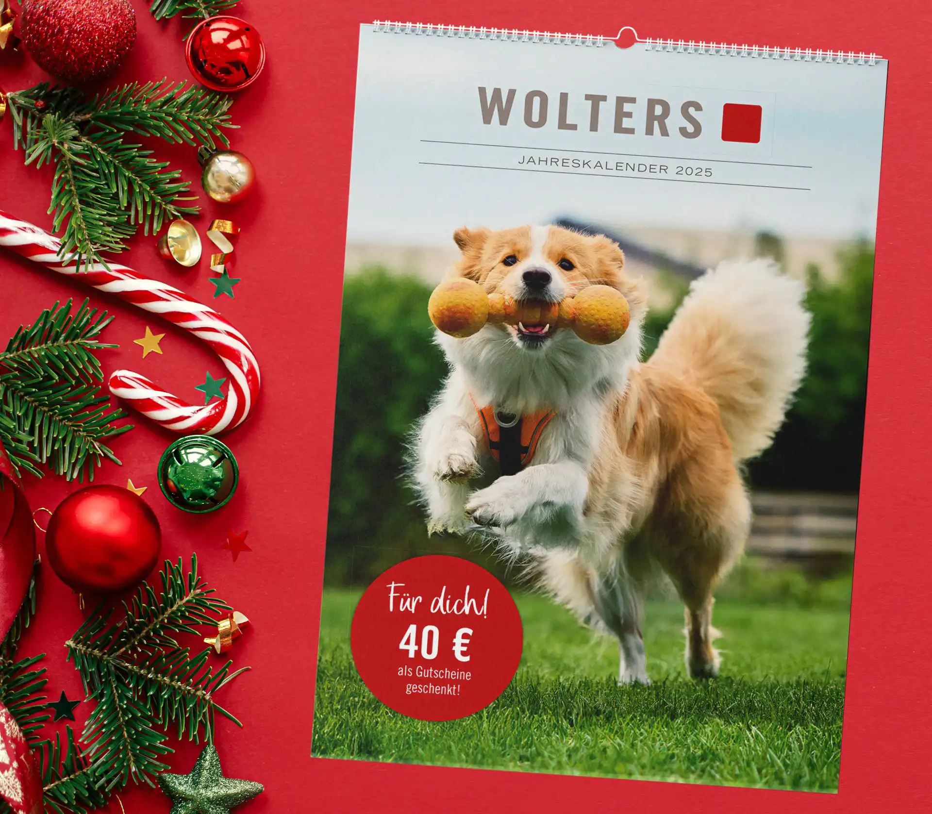 WOLTERS Kalender 2025